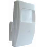 Covert Colour Camera in PIR housing